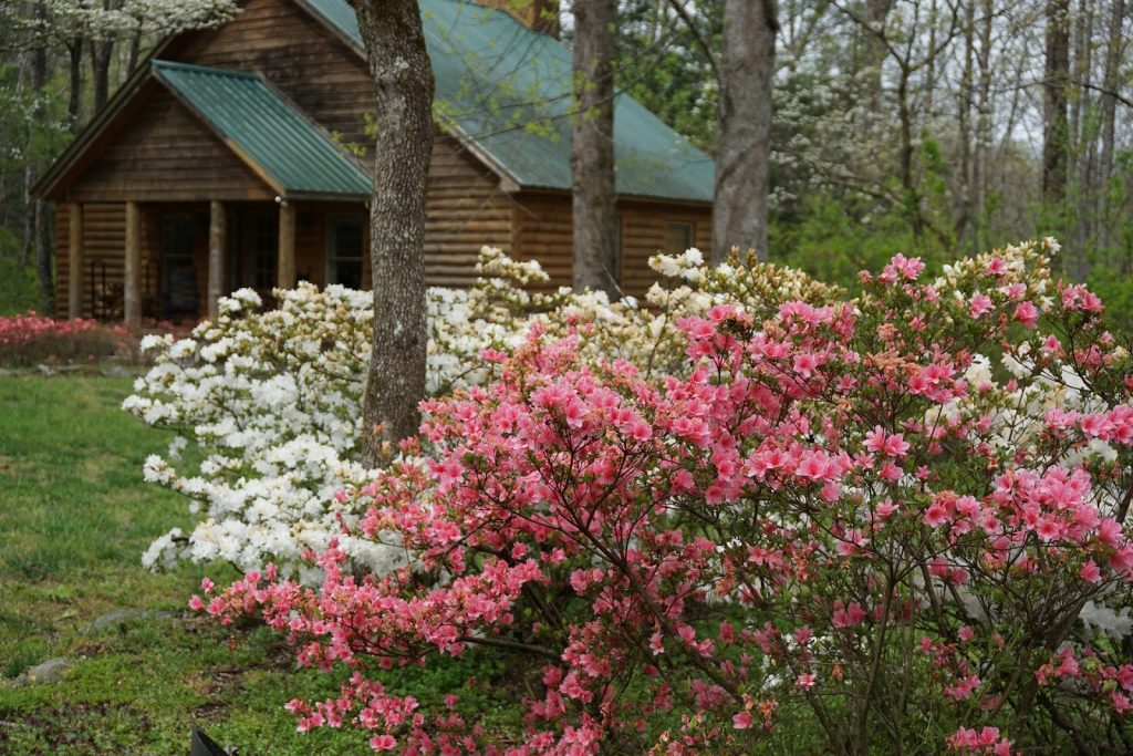 Buy Vacation Rentals in The Great Smoky Mountains