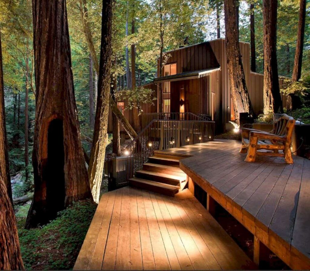 Small House with A Romantic Creek View in A Redwood Forest